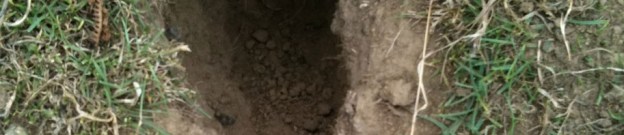 Down the Rabbit Hole a.k.a. Life’s Little Hiccups & Big&nbsp;Booms