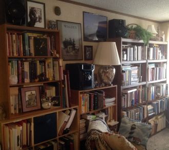 Diana's wall of books