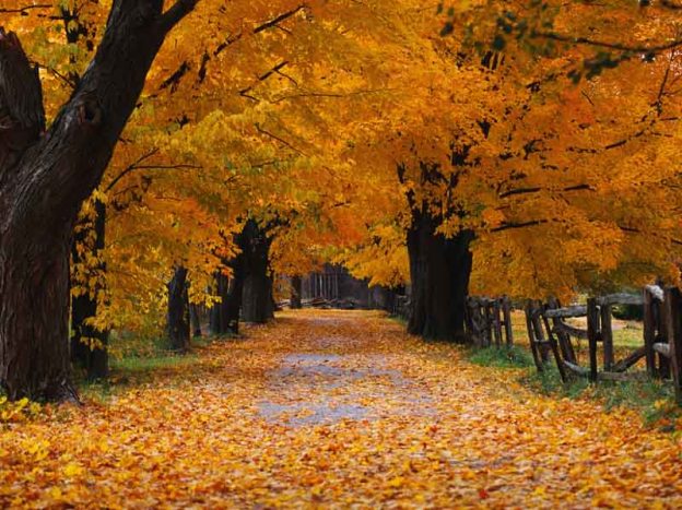 October’s Glory